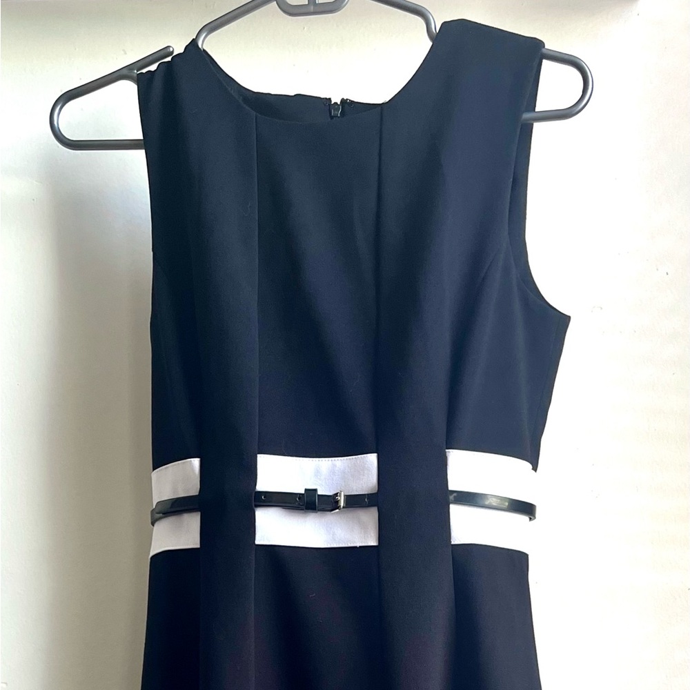 Calvin Klein Black and White Dress
